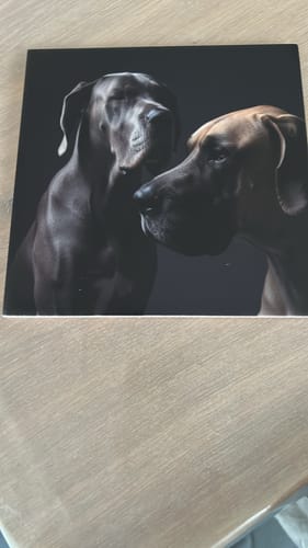 Customer photo review of Dramatisch Studio Portret Tegel – Jouw Huisdier als Professionele Fotokunst