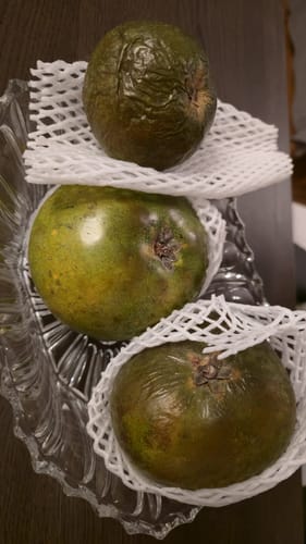 Kunde zeigt drei grüne, naturbelassene Lucuma-Früchte in einer Glasschale.