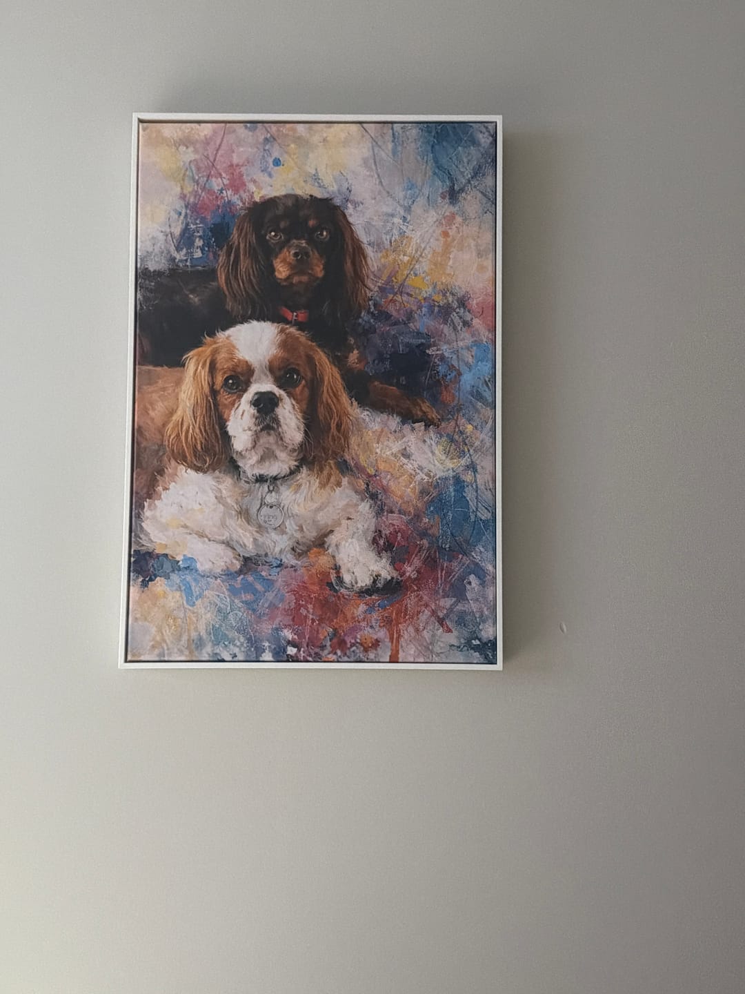 Customer photo review of Custom Pet Portrait - Abstract Style