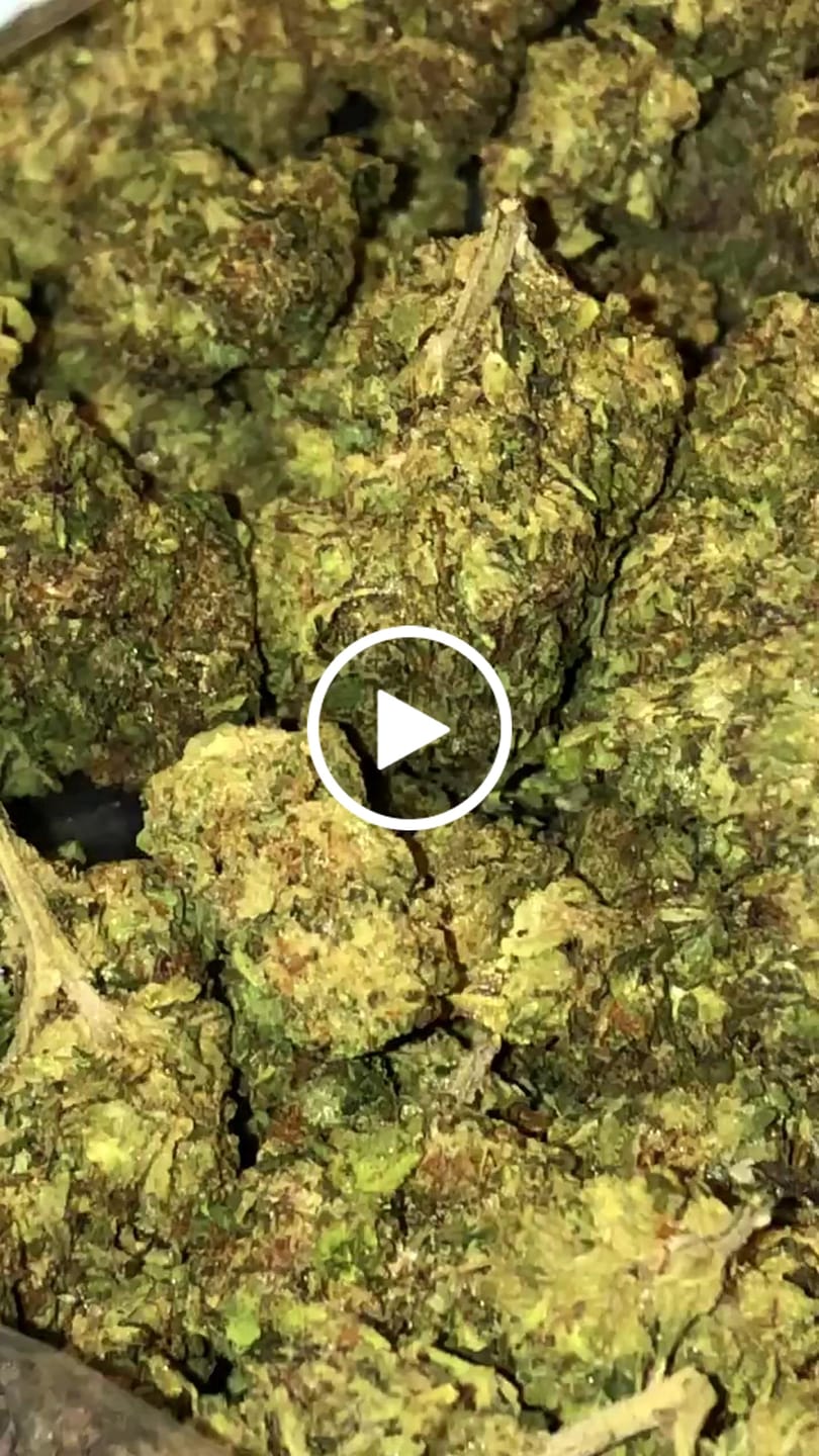 Customer video review of Purple Octane - Bulk - Indica
