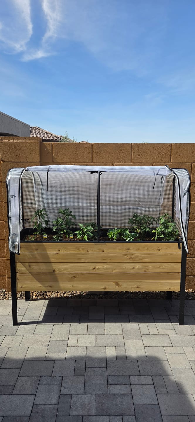 Customer photo review of Greenhouse Cover
