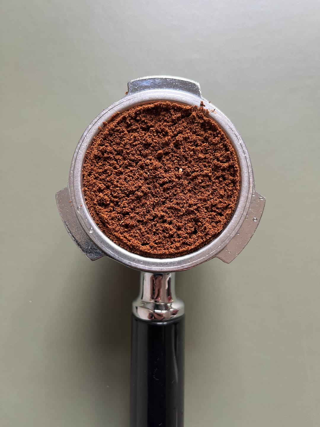 Customer photo review of Monsooned Malabar Espresso