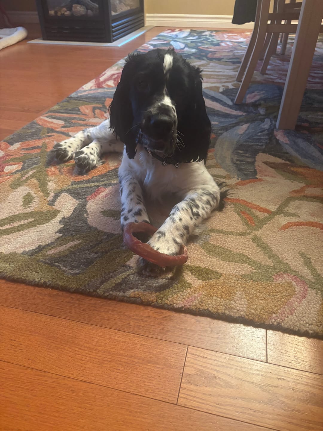 Customer photo review of Large Bully Stick Ring