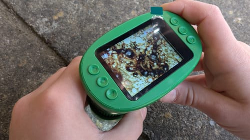 Ein Kunde hält das grüne Edubini Abenteuer-Mikroskop, auf dessen Bildschirm eine vergrößerte Probe zu sehen ist.