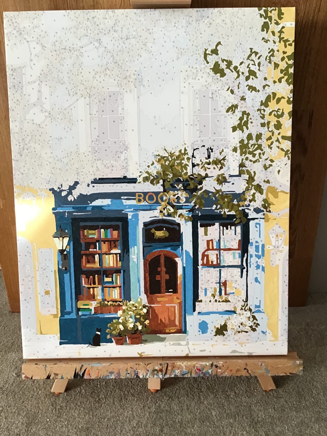 Customer photo review of The Blue Bookshop | Paint by Number