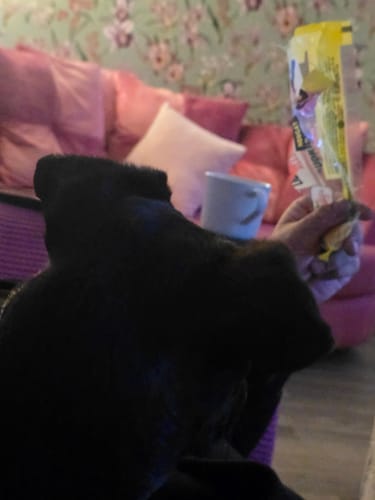 Customer photo review of 500g Gourmet Liquorice Assortment + Free British Liquorice Mix