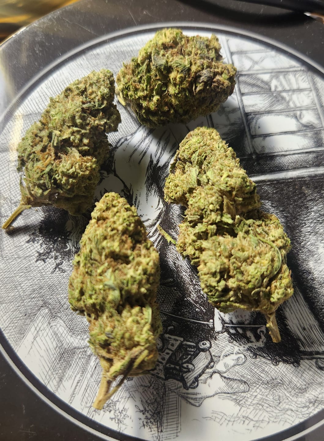 Customer photo review of Rainbow Sherbet - 28 Grams - Hybrid
