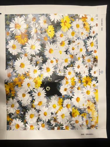Customer's completed 'Cat in the daisy field' paint-by-number canvas, showing a black cat peeking through flowers.