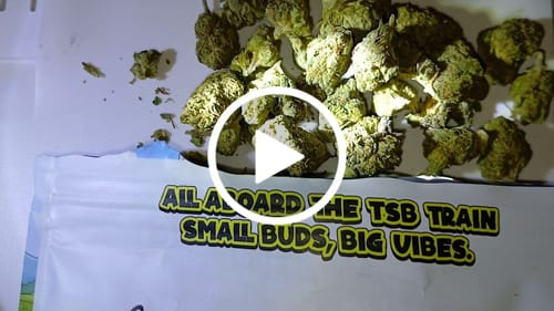Customer video review of Gary Poppins THCA Flower