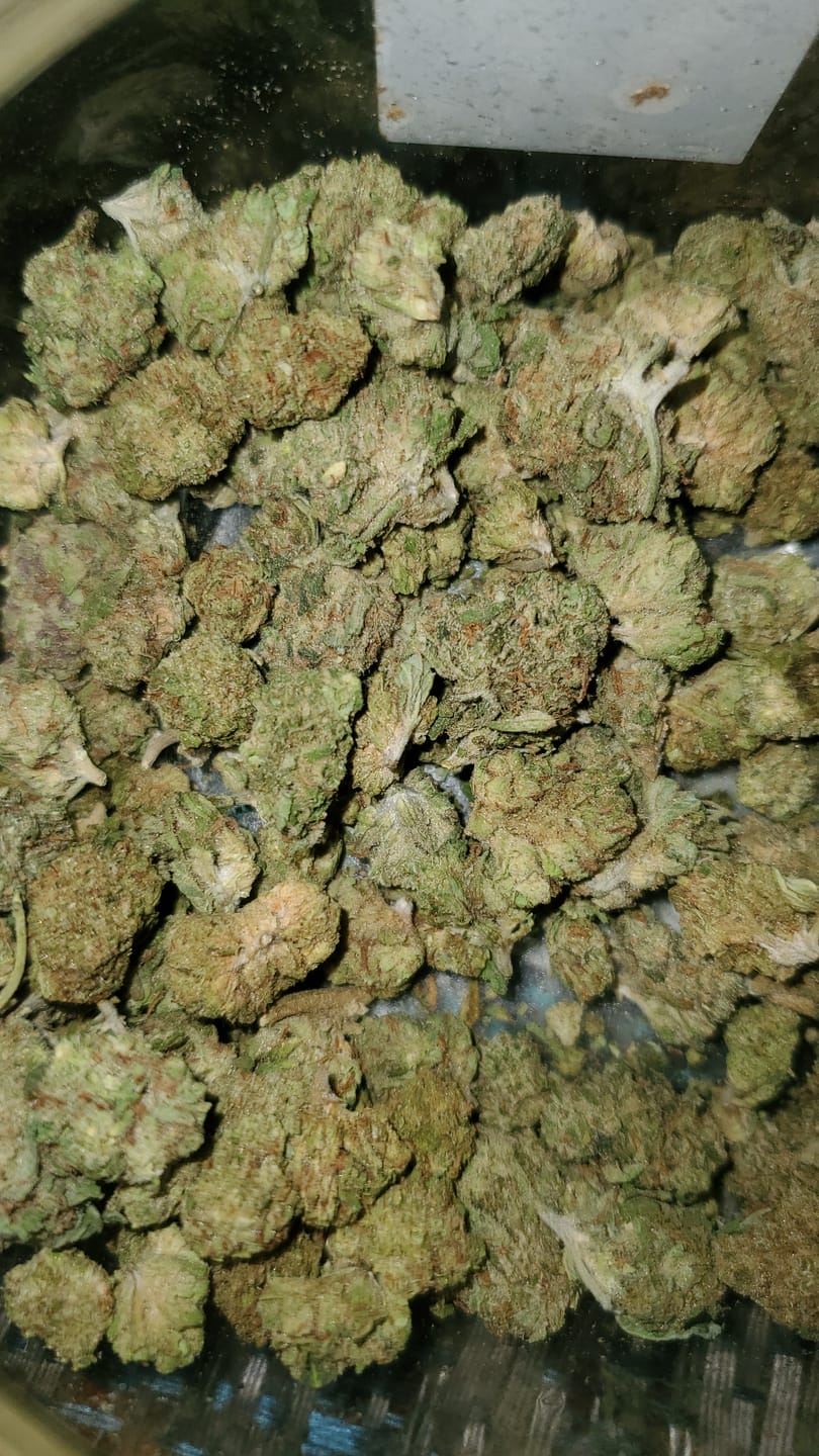Customer photo review of Gorilla Glue - Minis - 14 Grams - Hybrid