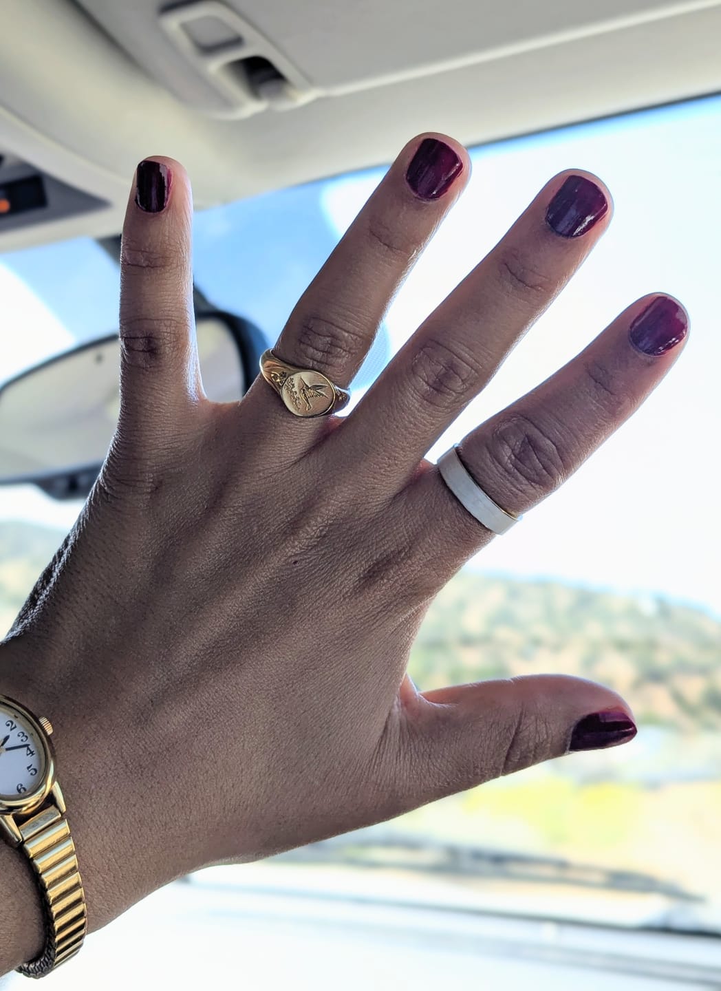 Customer photo review of Golden Hummingbird Signet Ring