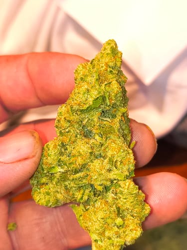 Customer photo review of Cheap THCA Flower Quarter Pound