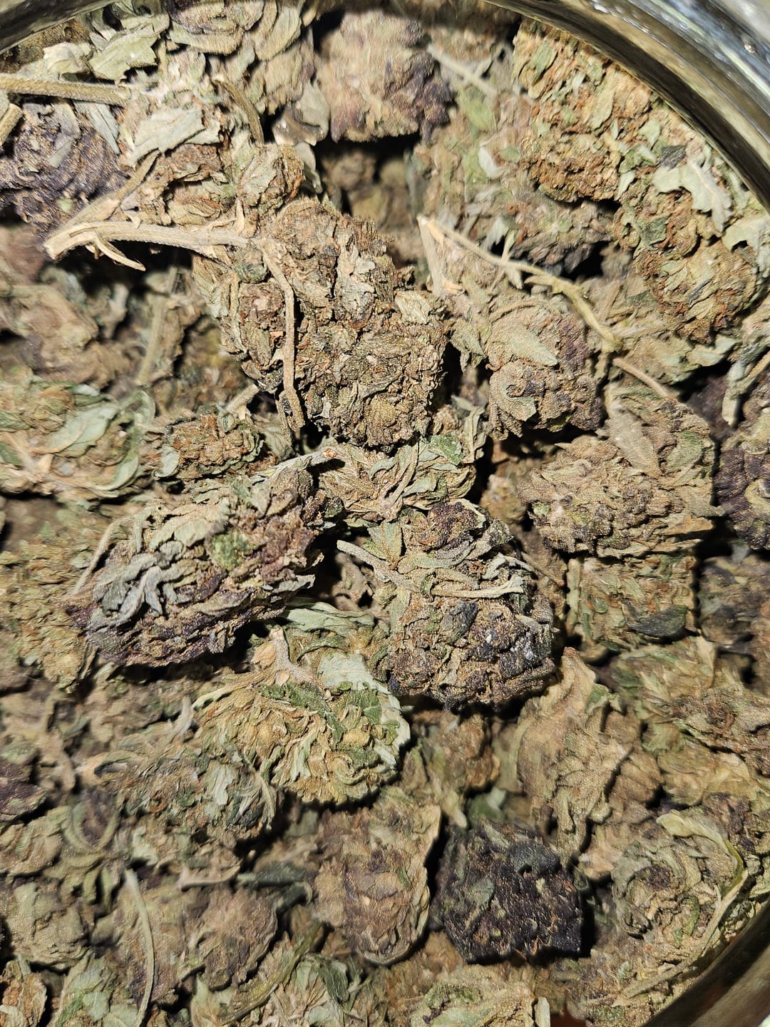 Customer photo review of Butterscotch OG - Bulk - Indica