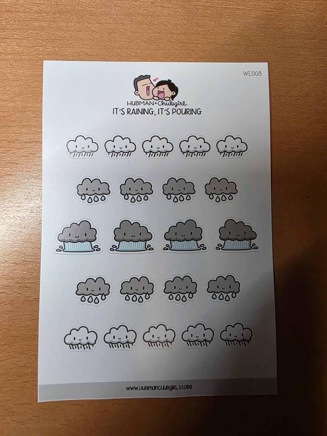 Customer photo review of It's Raining, It's Pouring Planner Stickers