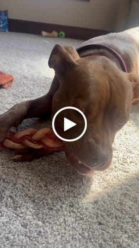 Customer video review of 12-inch MONSTER Braided Bully Stick