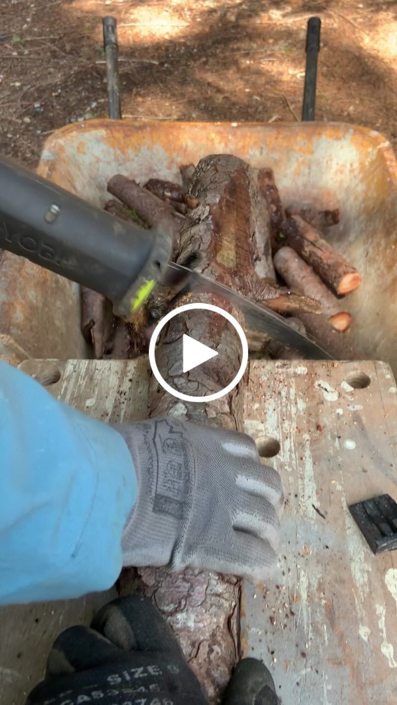 Customer video review of Tree Trimming/Wood Cutting – Japanese Teeth Arc Edge 6 TPI Reciprocating Saw Blade