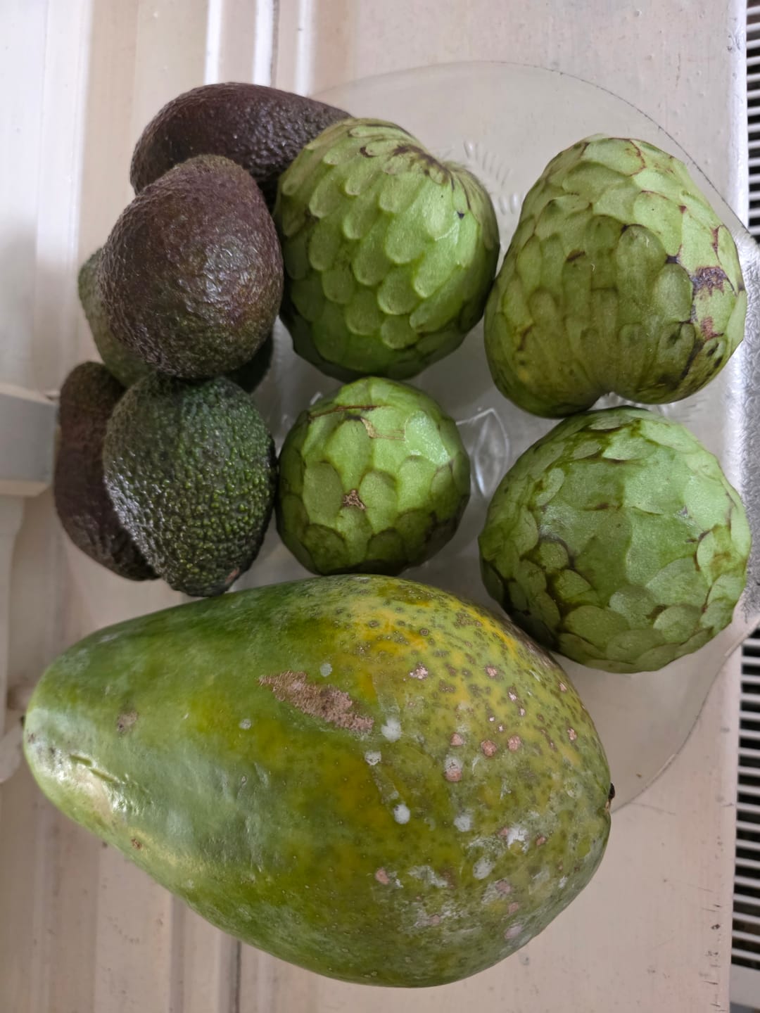 Customer photo review of Cherimoya Bio Hochernte-Retterbox Sonderaktion % 4kg