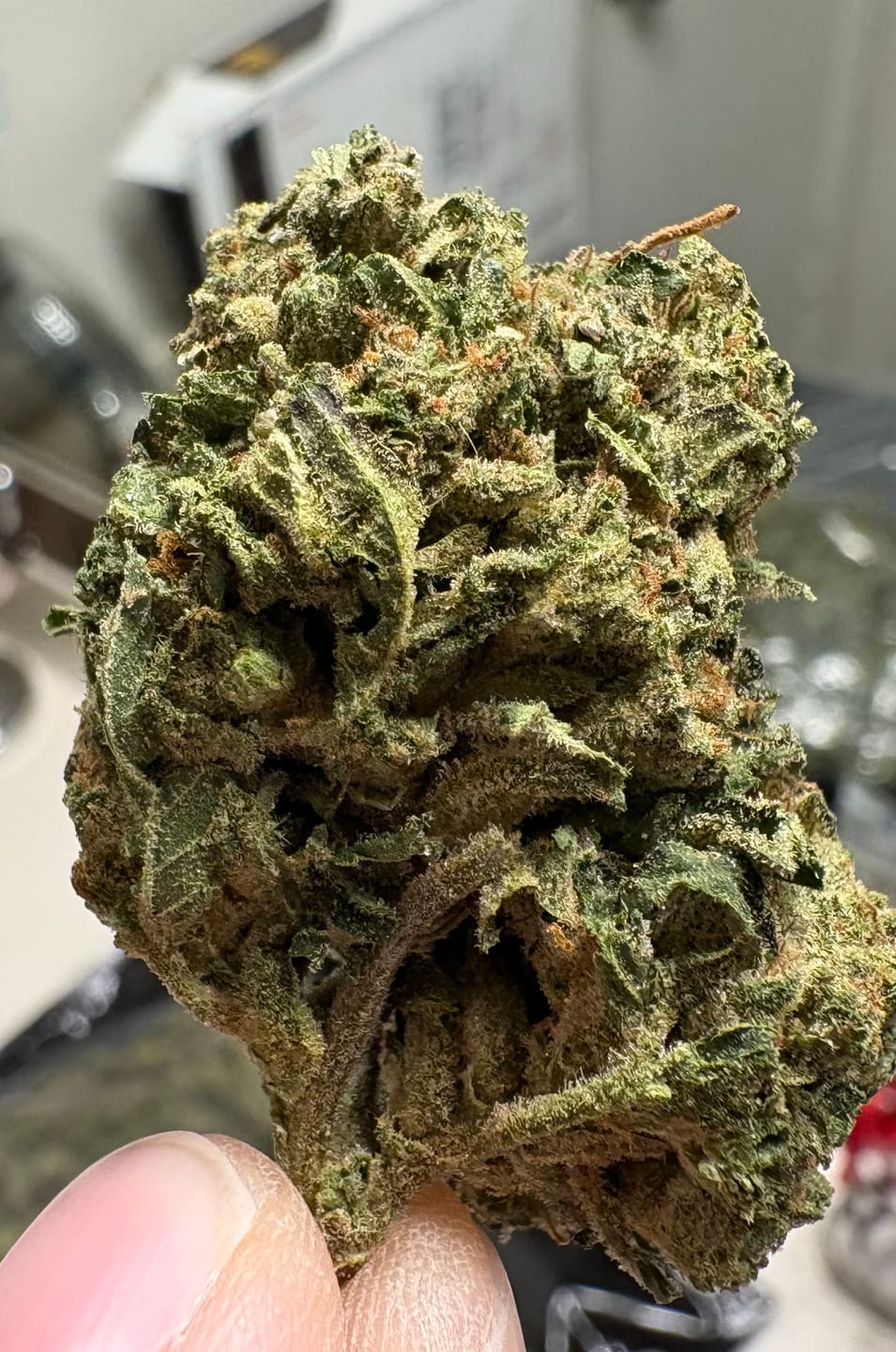 Customer photo review of Grape Gas - Bulk - Hybrid
