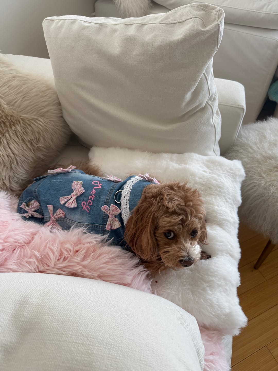 Customer photo review of Blue Vest with Pink or Blue Mini Bows