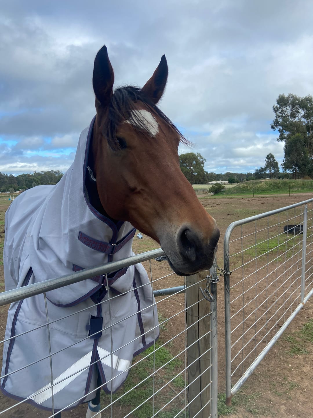 Customer photo review of LE Boxter Turnout Ripstop 50g