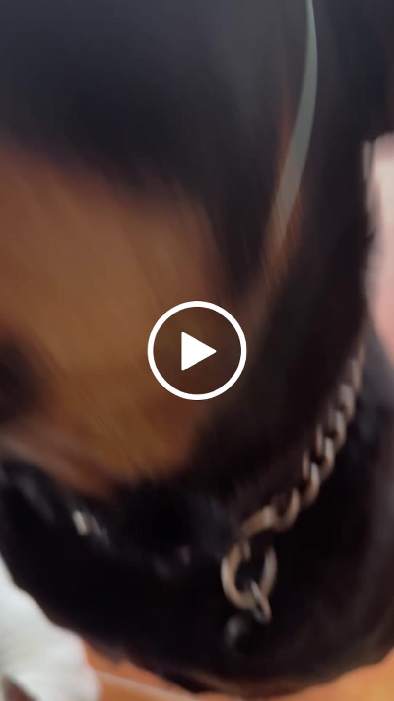 Customer video review of 6 Inch Braided Jerky Stick