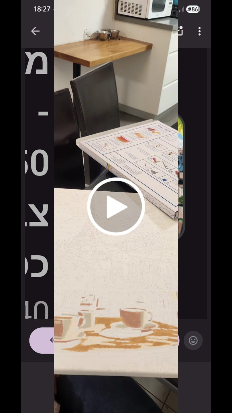 Customer video review of צביעה לפי מספרים - PBN1451
