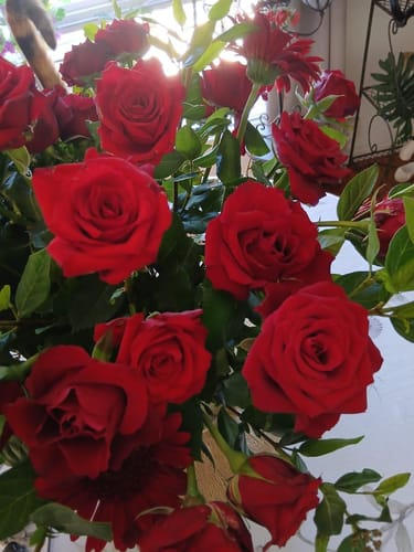 Customer's close-up photo of the Rich and Romantic bouquet, showing beautiful red roses and gerberas fully blossomed.