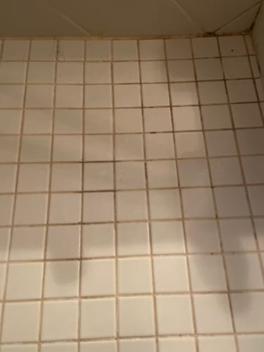 Reviewer's dirty shower floor with square white tiles and dark grout before cleaning with the Bathroom Concentrate.