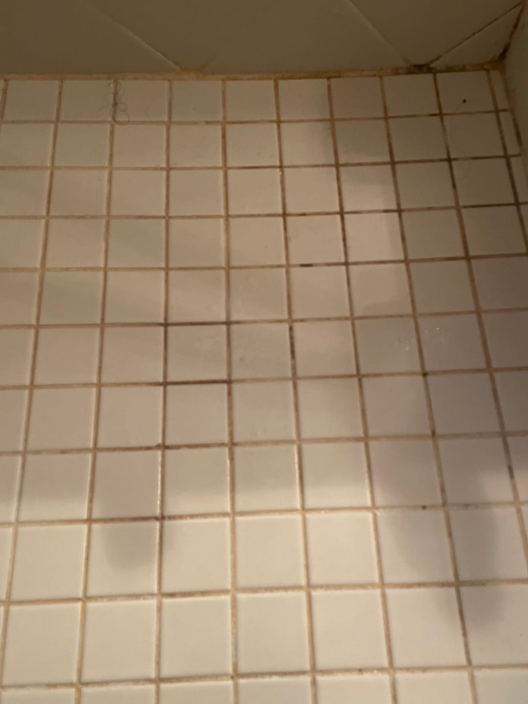 Customer photo review of Bathroom Concentrate 4x