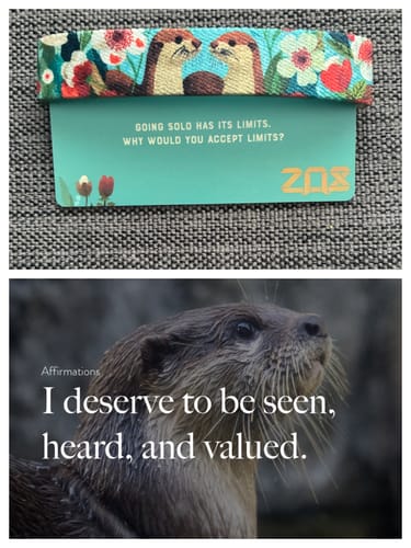 Reviewer's composite image showing their colorful Side By Side Bracelet and an inspirational photo of an otter.