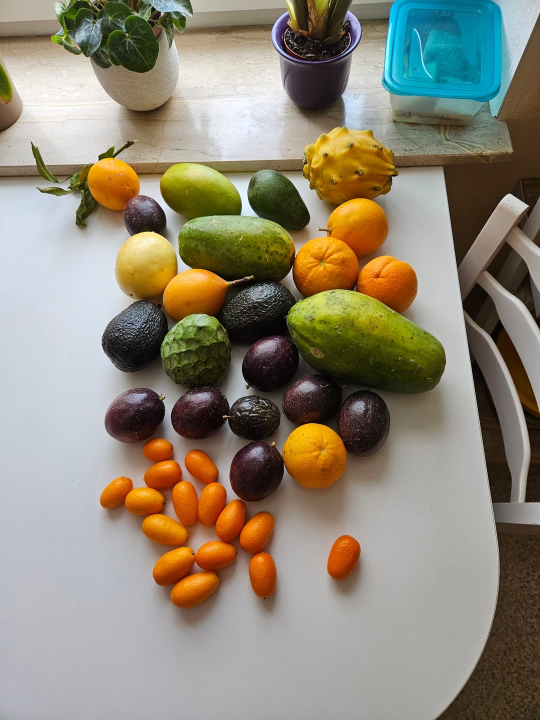 Customer photo review of Julian’s exotische Paradiesbox
