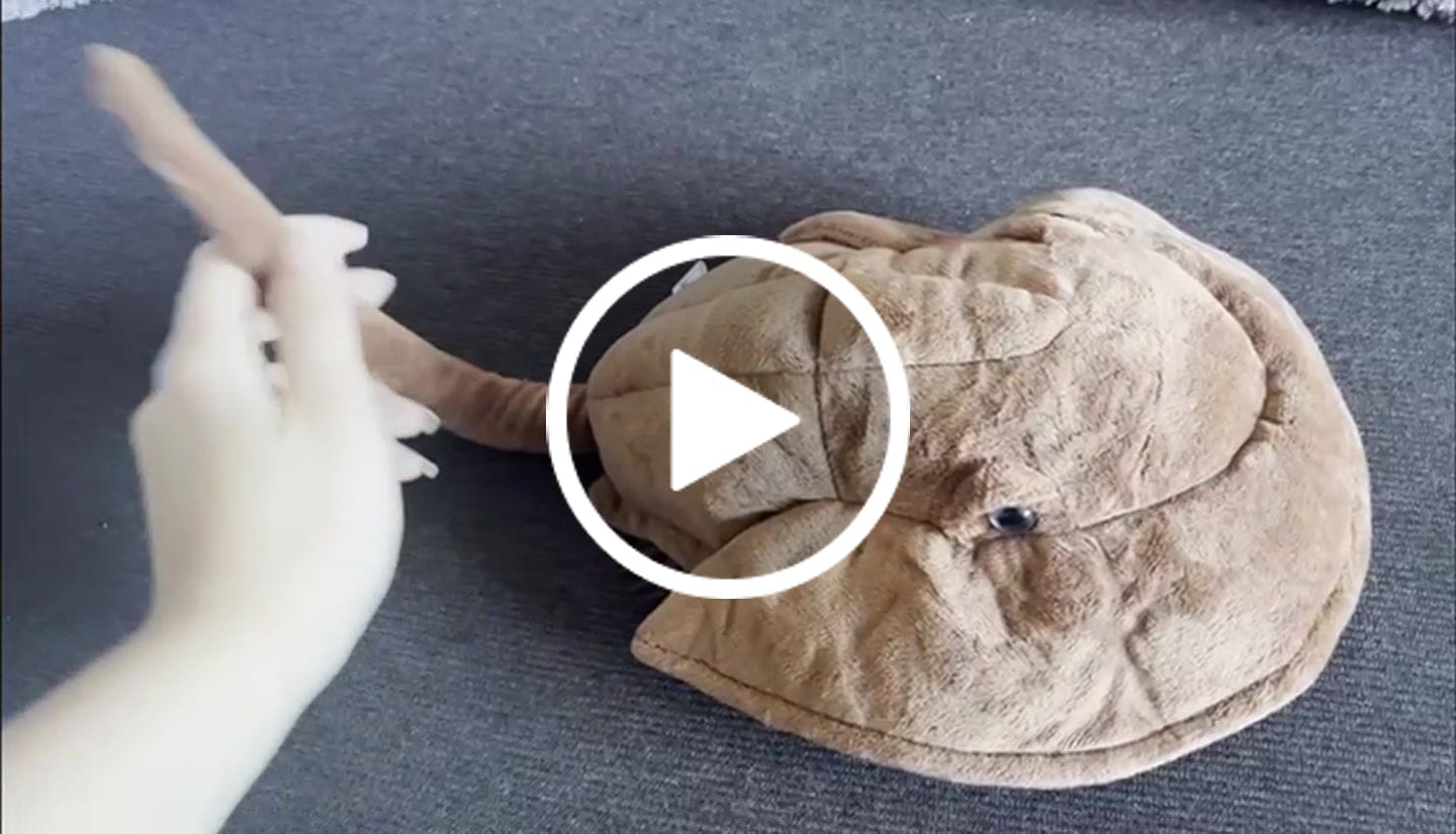 Customer video review of Horseshoe Crab Soft Stuffed Plush Toy