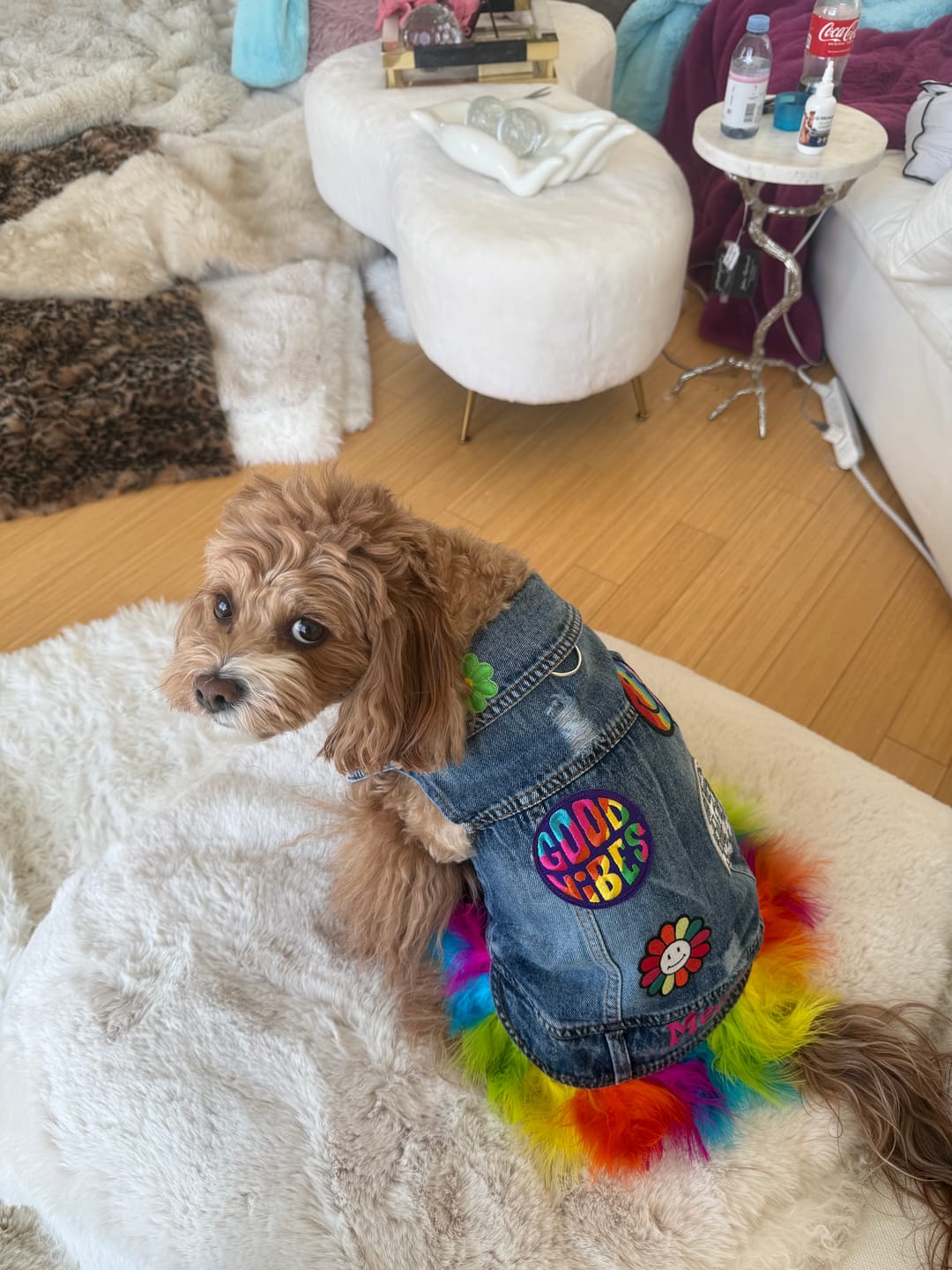 Customer photo review of Disco Vest