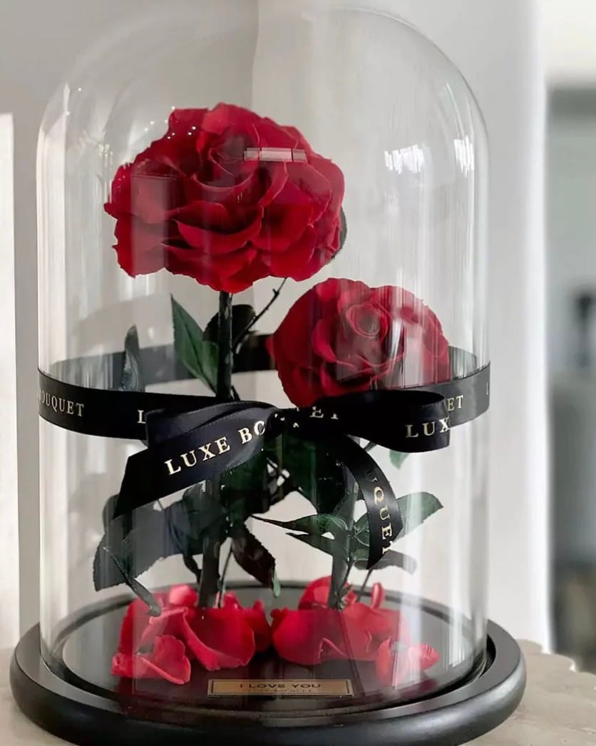 Customer photo review of The Everlasting Rose - Red
