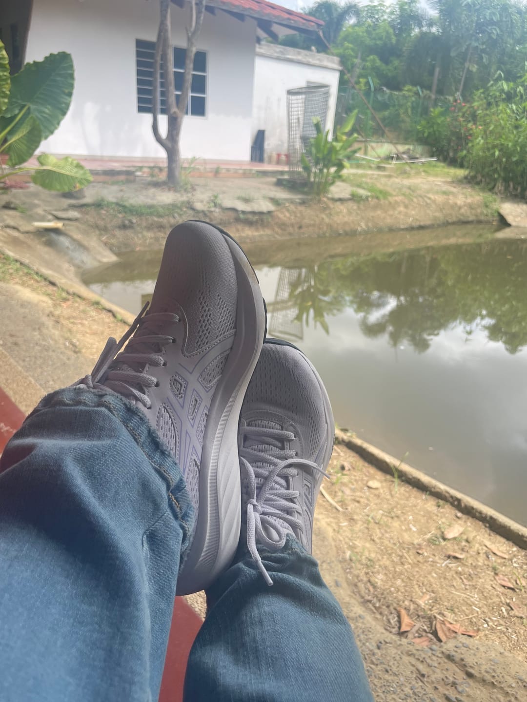 Customer photo review of Asics Gel Contend 9 Mujer Lilac Hint Bluebell