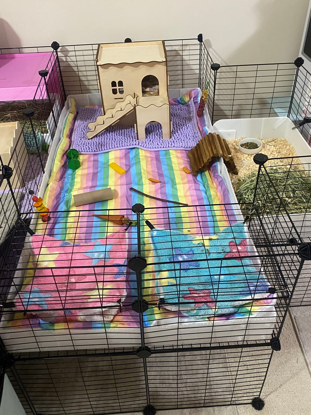 Customer photo review of Plush Fleece Liner for Guinea Pigs | Rainbow Collection