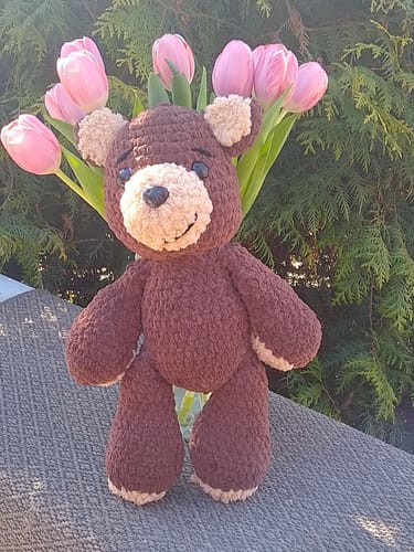 Customer photo review of Alize Softy Mega