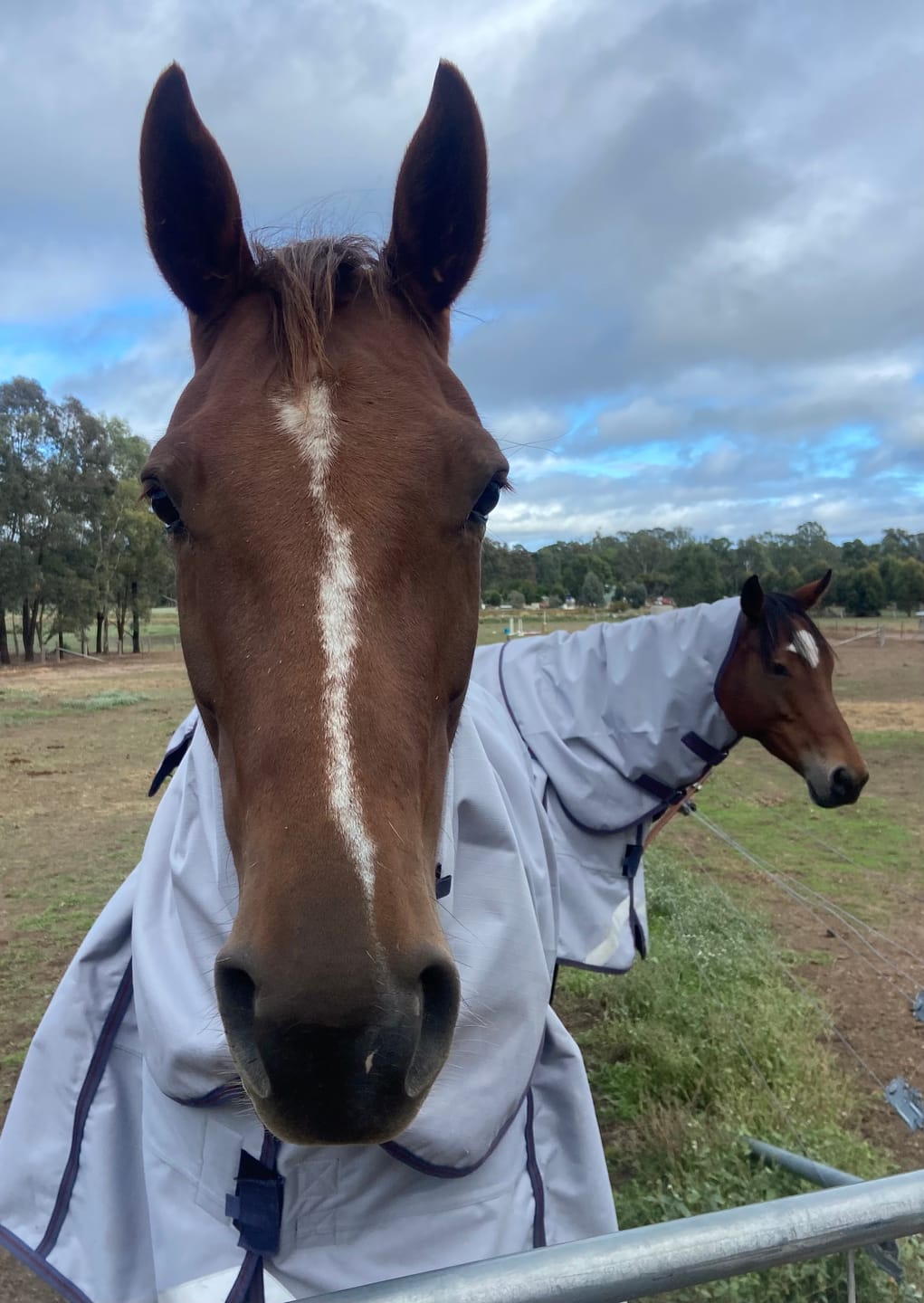 Customer photo review of LE Boxter Turnout Ripstop 50g