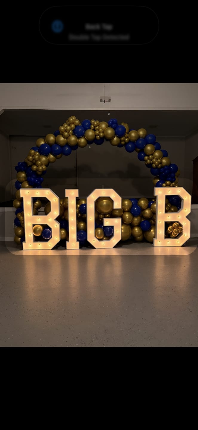 Customer photo review of 10x8 Ft Aluminum Balloon Arch Frame Wedding Arch Stand