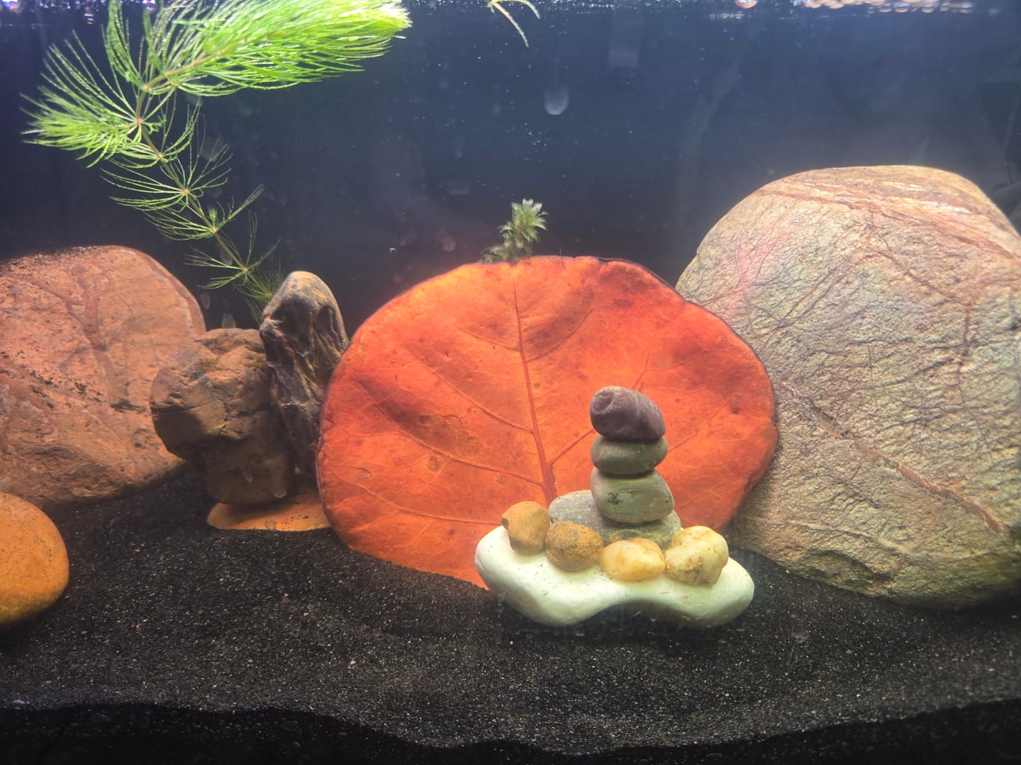 Customer photo review of WIO - Zombie Boulder Stone
