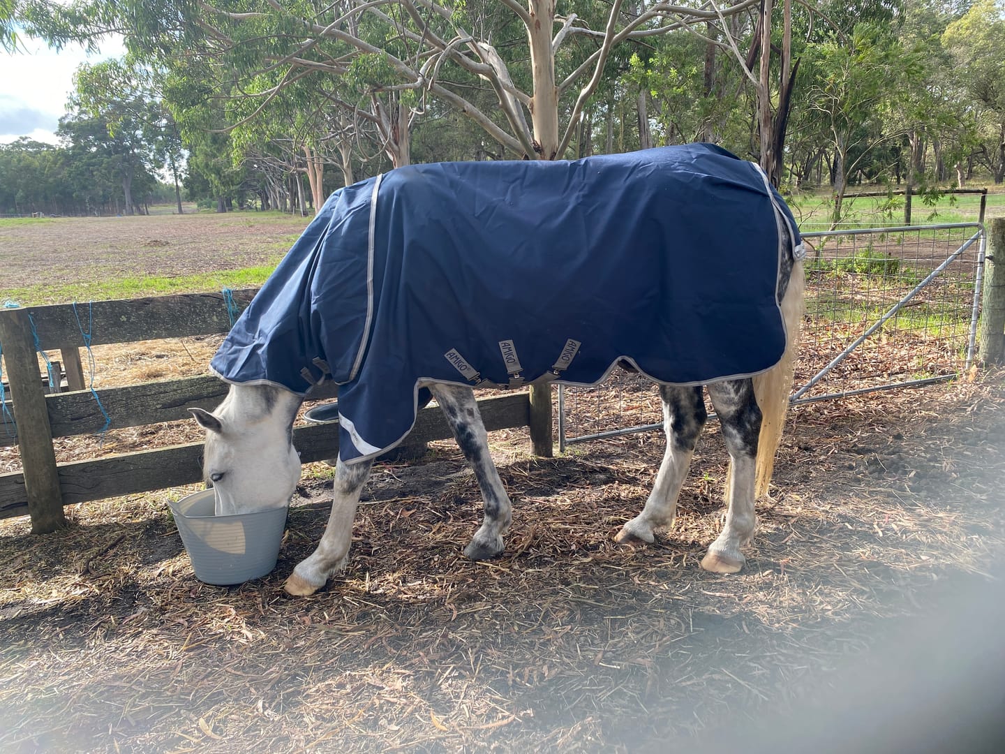 Customer photo review of Amigo 1200D DiscFront Plus Turnout 0g