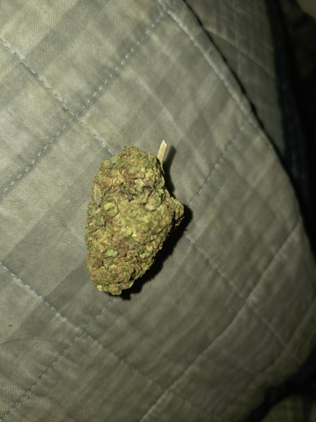 Customer photo review of Rainbow Sherbet - 28 Grams - Hybrid