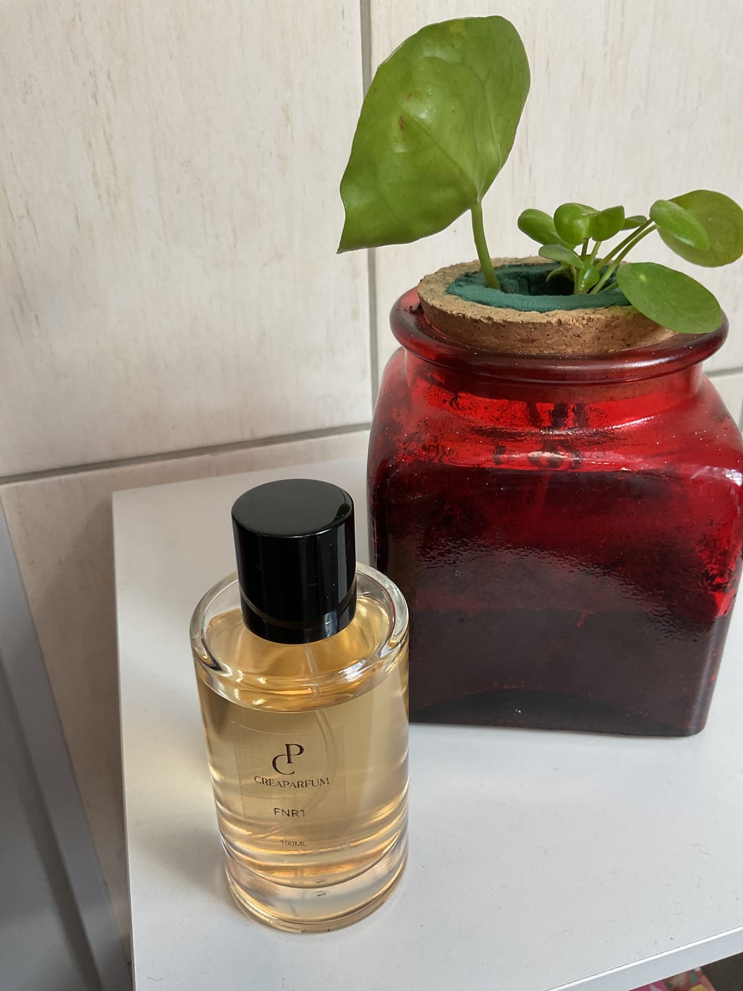 Customer photo review of FNR1 similaire à L'air du Temps