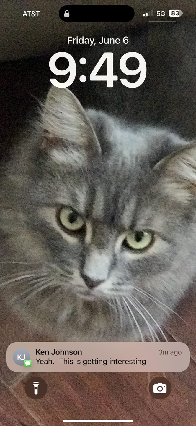 Customer photo review of Cat Allergy Relief & Immune Support – Natural Remedy for Sneezing, Itching & Seasonal Allergies