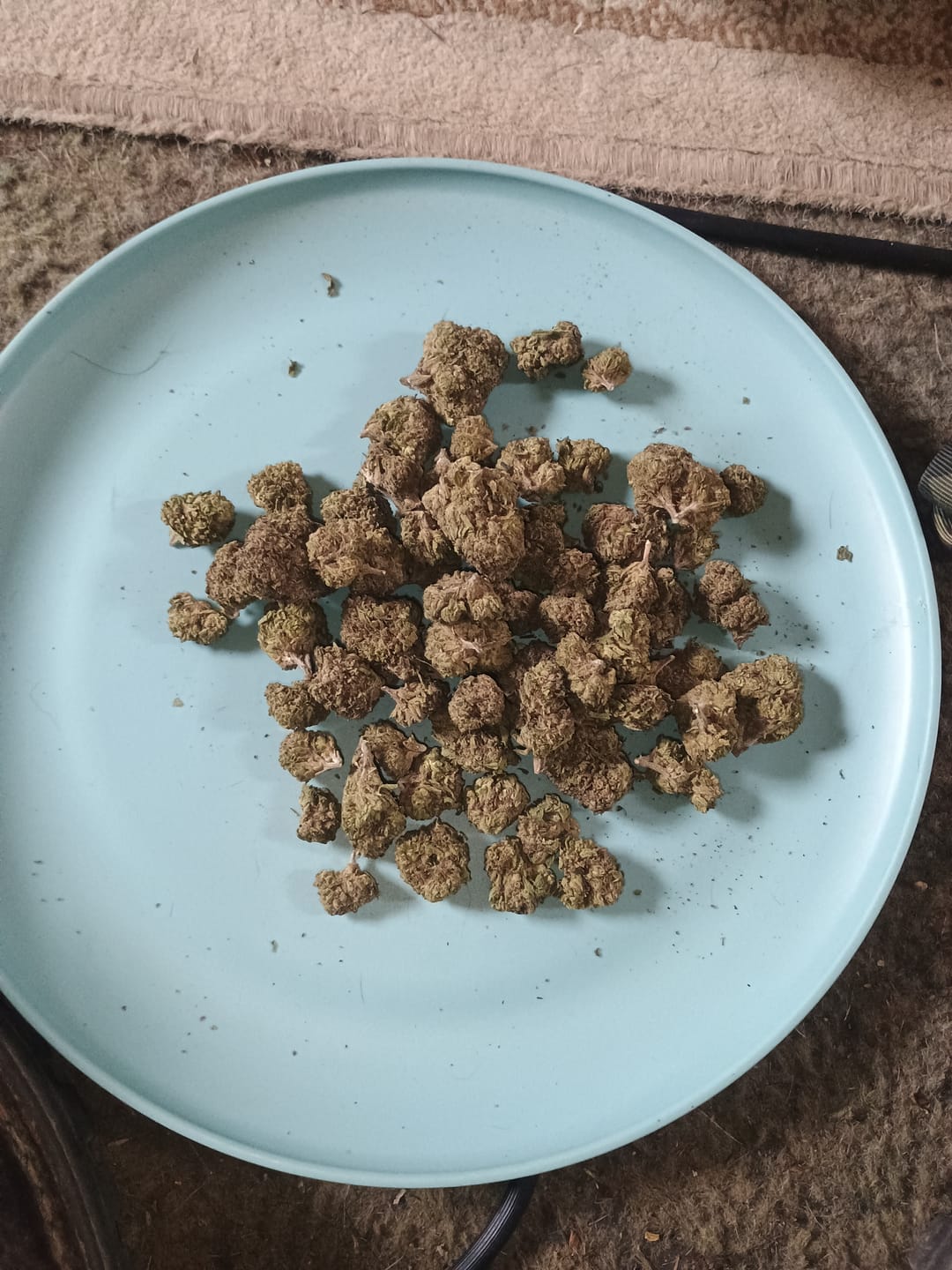 Customer photo review of OG Kush - 4 Grams (Indica)