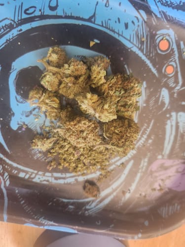 Customer photo review of White Cherries THCA Flower