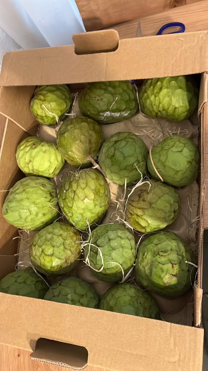 Customer photo review of Cherimoya Bio Hochernte-Retterbox Sonderaktion % 4kg
