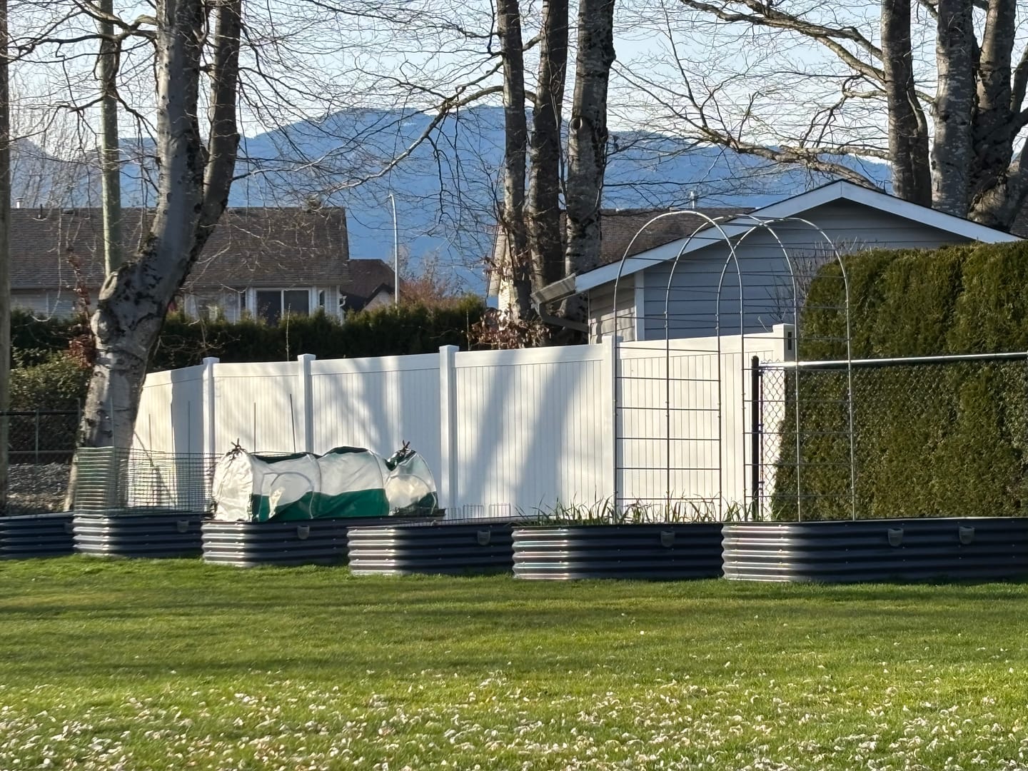 Customer photo review of Arch Garden Trellis