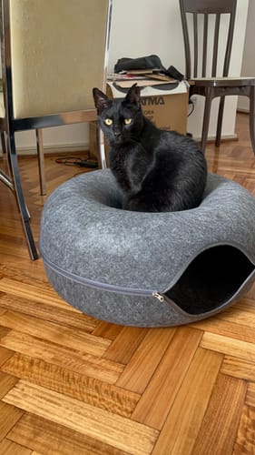 Customer photo review of Cueva Dona