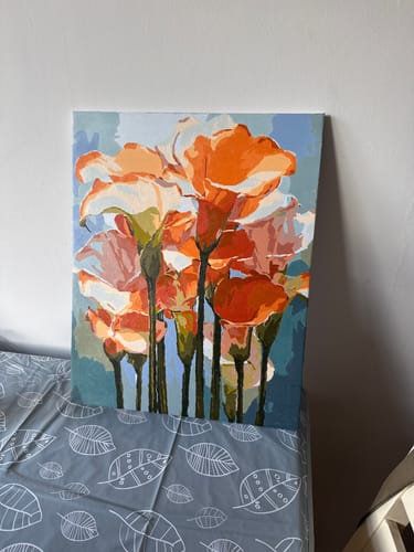 Customer photo review of Canvas of Light